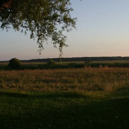 Ferienhaus Boddenblick *
